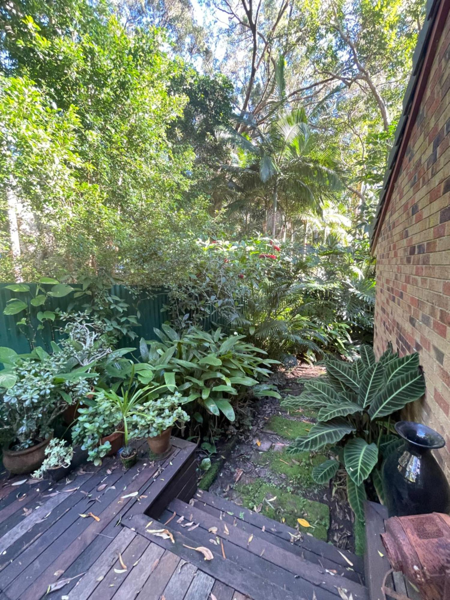 Lilli Pilli Guesthouse Byron Bay Kültér fotó